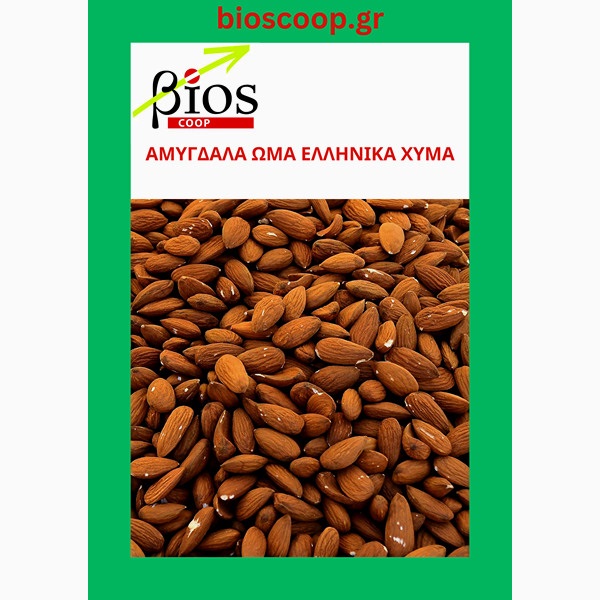amigdala oma ellinika